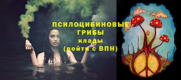 мяу мяу кристалл Арсеньев